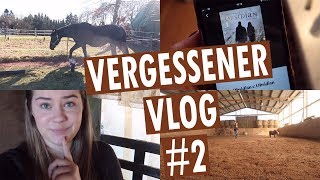 Stallaltag ✔️ GEHEIME TÜR ?? Hörbuch Empfehlung ? | 25.02. - 03.03.2019 | Minishetty Lucy