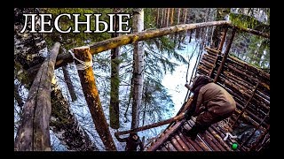 ДОМ НА ДЕРЕВЕ СВОИМИ РУКАМИ | ОХОТНИЧЬЯ БАШНЯ | HUNTING TOWER DIY | BUSHCRAFT HOUSE ON THE TREE