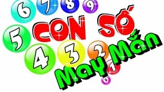 Cách Xem Biển Số Xe Đẹp Hay Xấu Theo Phong Thủy