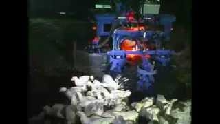 Chicken catcher machine