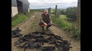 Farm Yard Pest Control with a Shotgun