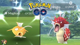 How RARE Is WILD SHINY Gyarados & Magikarp In Pokémon GO?! | Lunar New Year Event Shiny Rates (2020)