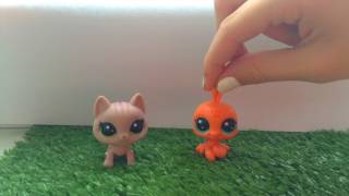 LPS  НОВОСТИ/SOVA LPS