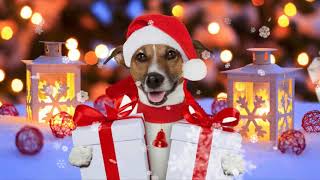 Новогодние футажи 2018 г. Набор №4. Скачать Бесплатно.