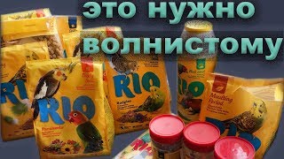 ВОЛНИСТЫЙ ПОПУГАЙ -  что КУПИТЬ, если только завели птицу ?ВОЛНИСТЫЕ ПОПУГАЙЧИКИ ОЖЕРЕЛОВЫЕ КОРЕЛЛЫ