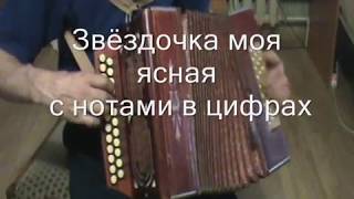 Звёздочка моя ясная ноты с цифрами