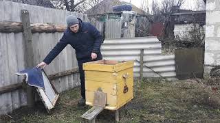 Зимовка пчёл 2020.Зимняя ревизия пчелосемей. Влажность в улье. Наличие корма в ульях.