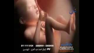 مراحل تكوين الجنين - د. وائل الشربيني أستشاري العقم و الحقن المجهري