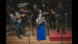 R. Strauss- Horn Concerto no.1 op.11