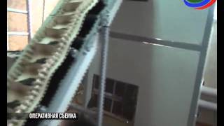 Более тысячи упаковок контрафактных семечек изъяли сотрудники УБЭП