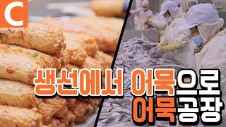 바다에서 건져올린 생선이 어묵이 되기까지