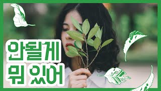 [有何不可]귀여운 짝사랑노래 '안될게 뭐 있어'(가사, 병음, 한글자막)
