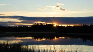 Природа нашего края (Алакуртти). Часть вторая