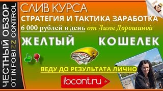 ЖЕЛТЫЙ КОШЕЛЕК. СТРАТЕГИЯ И ТАКТИКА ЗАРАБОТКА ЛИЗЫ ДОРОШИНОЙ / ЧЕСТНЫЙ ОБЗОР / СЛИВ КУРСА