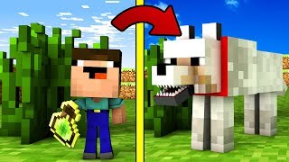 НУБ ПРЕВРАТИЛСЯ В СОБАКУ В МАЙНКРАФТ! НУБИК MINECRAFT ТРОЛЛИНГ Выживание Мод Видео Мультик для детей
