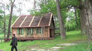 День голубятника  2016г  Орловская обл  г Дмитровск часть1