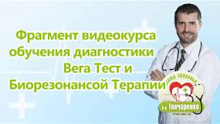Фрагмент видеокурса обучения диагностики Максим
