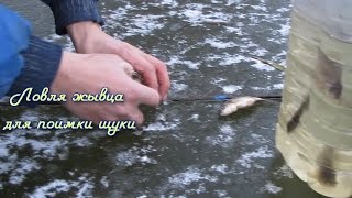 Видео про рыбалку.Ловля живца, отчеты о рыбалке.