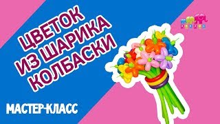 Как сделать цветок из воздушных шаров своими руками? Видео мастер-класс "Цветок из ШДМ"