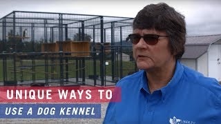 Unique ways to use a Tarter Elite Dog Kennel