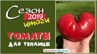 Томаты для теплицы. Самые вкусные и урожайные сорта. Сибирь. Итог сезона 2019
