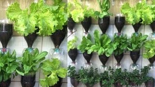 BOTTLE TOWER GARDEN