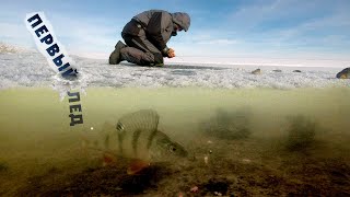 ОКУНЬ НА МОРМЫШКУ! ПЕРВЫЙ ЛЁД 2019-2020 ЗИМНЯЯ РЫБАЛКА !!!