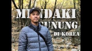 PENGALAMAN MENDAKI GUNUNG DI KOREA #VLOG 2