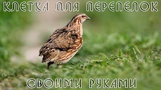 Клетка для перепелов. Своими руками