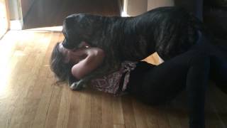 Don't ever let a pit bull hear you laugh!!!!!