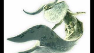 Monster Hunter tri Ceadeus Theme part 1