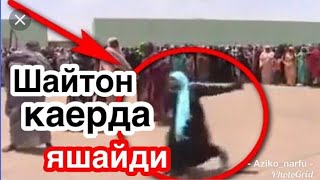 Жинлар каерда яшайди
