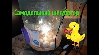 Инкубатор своими руками. Инкубатор из бутылки 19 литров. Самодельный инкубатор.