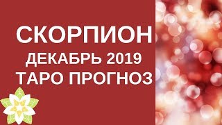 Скорпион - Таро прогноз на декабрь 2019 года