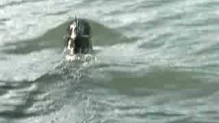 RC Submarine Robbe U-31 Klasse 212A - 01