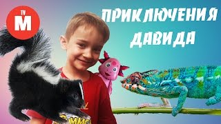 Приключения Давида и Лунтика ЧУДО ЗООПАРК Лунтик с Давидом в зоопарке Лунтик 2016 ВИДЕО ДЛЯ ДЕТЕЙ