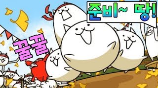 냥코 운동회가 열렸습니다! 그런데 탱크고양이가 납치 당했어요! - 동동