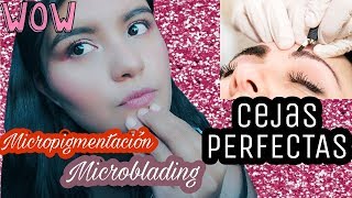 TODO lo que tienes que saber del Microblading VS Micropigmentación de CEJAS | Karly Alcantara♥️