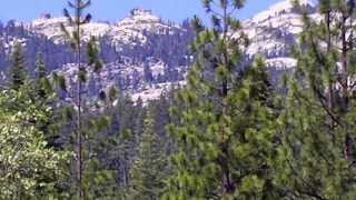 Camping Trip 2013, Part 9, Road 274, 87 & 7, at the end of 222, Sierra National Forest