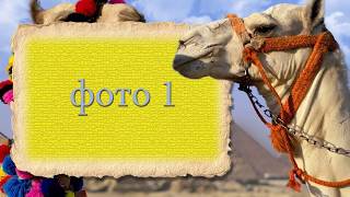 БЕСПЛАТНО !!! ProShow Producer 5  12 стилей EGIPT