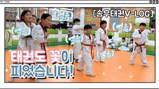 [VLOG] 품새와 놀이가 결합된 재밌는 레크레이션!? 송우태권도 꽃이 피었습니다!  | 태권도장 브이로그 | 단체게임, 레크레이션