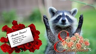 С 8 марта поздравление от енота