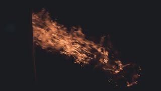 Печь для сжигания трупов животных, печи для кремации животных роскрематор.рф