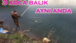 Altınkaya barajı balık kampı şamandıra zevki ve heyecanı .at çek  BALIK AVI 2018-BALIK AVI 2019