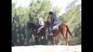 Прогулка на лошадях с Horseriding Hurghada