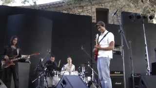 Greg Howe "Jump Start" (live @ Eddie Lang Jazz Festival 2010)