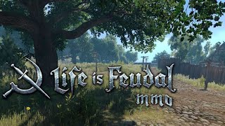 Life is Feudal: MMO #13 Лен, вода и гвозди. Добрые соседи.