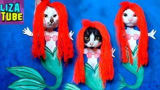 Русалки существуют!!! ? Смешные КОТЫ РУСАЛКИ ? Лиза и питомцы LizaTube