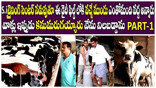 Top Quality Pure HF Cows Dairy farm in MvrDairyFarm || Lingarapalle Telangana || PART-1 || i3MEDIA