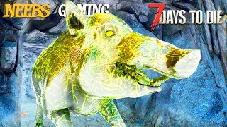 A GIANT Infected Pig named Grace - 7 Days to Die Gameplay Series